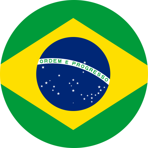 Brazil Flag F1