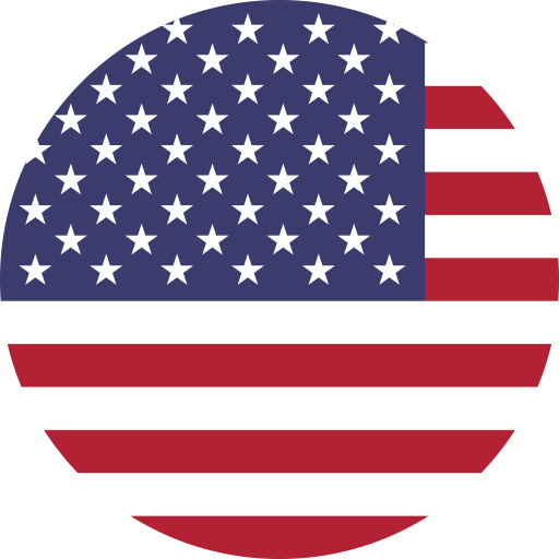 USA Flag F1