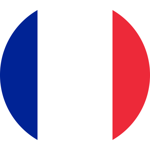 f1 23 france setup
